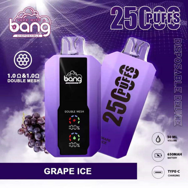 Bang Vape 25000 puff Disposable Vape 25k Wholesale