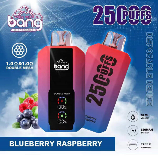Bang Vape 25000 puff Disposable Vape 25k Wholesale