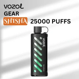 vozol gear shisha 25k Two Apples