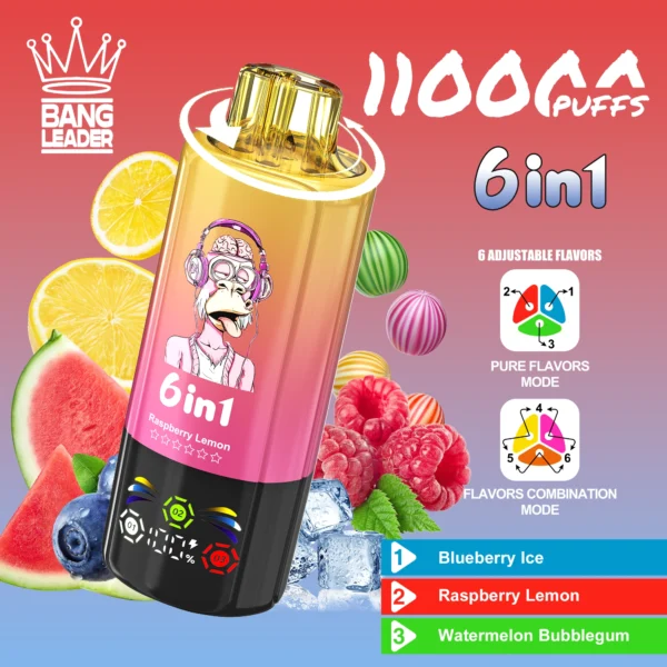 Bang Leader 110000 Puffs 6 in 1 Vienreizējā Vape Blueberry Ice & Raspberry Lemon & Watermelon Bubblegum