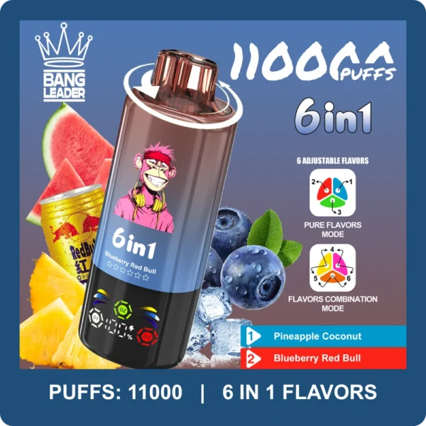 Bang Leader 110000 pīpju 6-in-1 vienreizējās lietošanas vape ananāss kokosrieksts un mellenes Red Bull un arbūza ledus