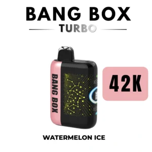 Bang Box Turbo 42K Rechargeable Vape China Warehouse