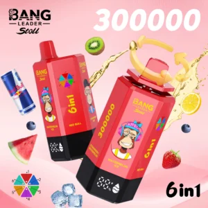 Bang Leader 300K Puffs 6 in 1 Wegwerp Vape 300000 Puffs