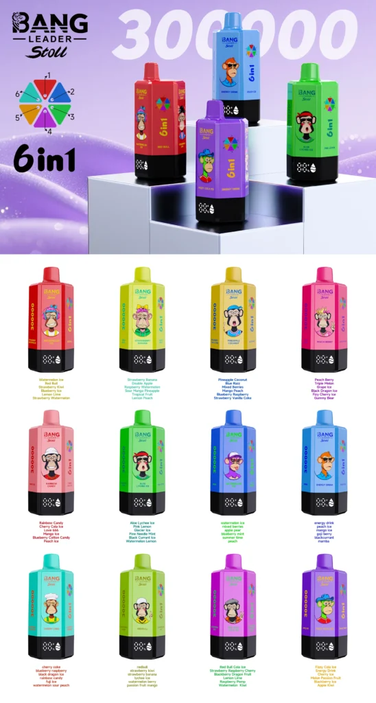 Bang Leader 300K Puffs 6 in 1 Wegwerp Vape