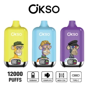 OKSO Digital 12000 puffs disposable vape, 500mAh battery, mesh coil, Type-C, China warehouse wholesale