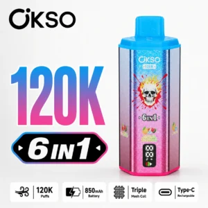 OKSO 6 in 1 120K disposable vape in Peach Ice Strawberry Watermelon flavor