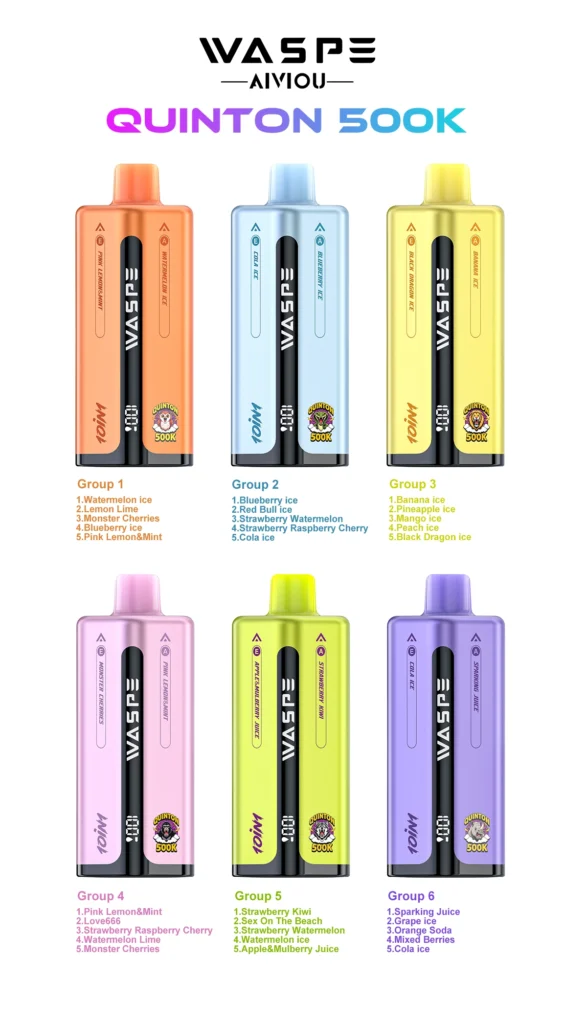 WASPE Quinton 500K 10 in 1 disposable vape flavor groups and available flavor combinations
